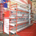 Made in China automatic poultry cages for chicken used